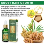 Herbishh Ginger Hair Oil – Image 4